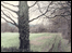Winter Path by Monty Parkin