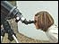 Picture: girl with telescope: link