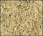 Close up of Limestone