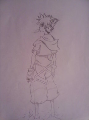 Sora at da beach