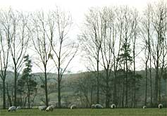 Herefordshire