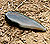 an old tooth