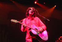 Gruff Rhys, Super Furry Animals