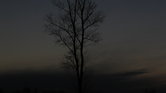 Shades of Nature... Shades of Nature...