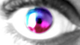 My Eye My Eye