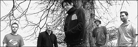 The Pineapple Thief