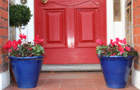 Winter pots