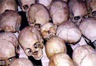 Photograph showing human skulls at the scene of Rwandan massacre