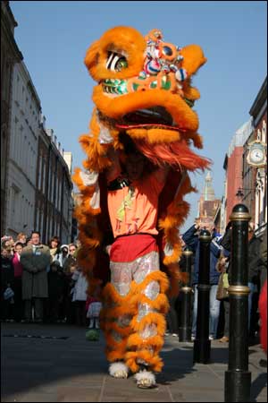 Orange lion stands tall