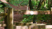 A stile leading into the pine forest