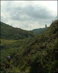 Walking through the valley