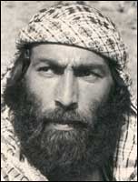 ولی تلاش