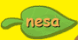 nesa