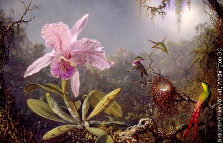 Martin Johnson Heade, Cattleya Orchid and Three Hummingbirds, 1871, oil on panel, National Gallery of Art, Washington, D.C., Gift of the Morris and Gwendolyn Cafritz Foundation