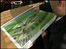 Man looking at map