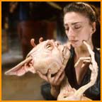 Aeryn and the Vorc