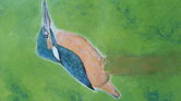 kingfisher acrylic... kingfisher acrylic...