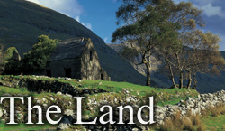 The Land
