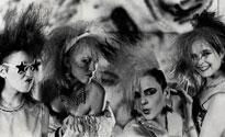 We've Got A Fuzzbox And We're Gonna Use It We've Got A Fuzzbox And We're Gonna Use It
