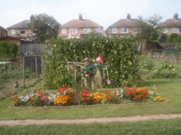 A thriving allotment