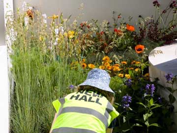 New Hall Garden at Chelsea Flower Show