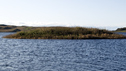 Eilean Na Comhairle or Council Island.