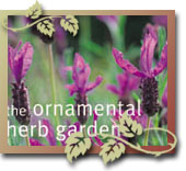 The Ornamental Herb Garden