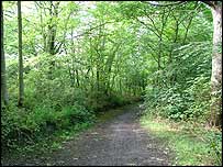Castle Woods