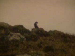 Is it a big cat on the hill?