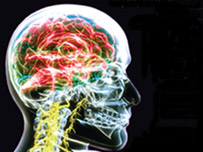 Braincandy logo