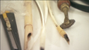 Manuscripts
