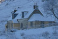 Torrlaoigseach