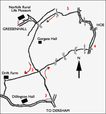 gressenhall walk.