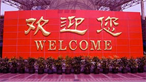 Beijing Olympic games 