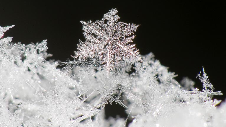 Bleideag sneachda