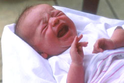 A baby's face