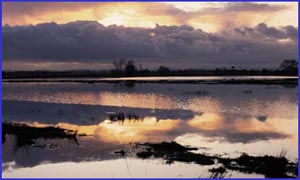 hellesdon flooding. 