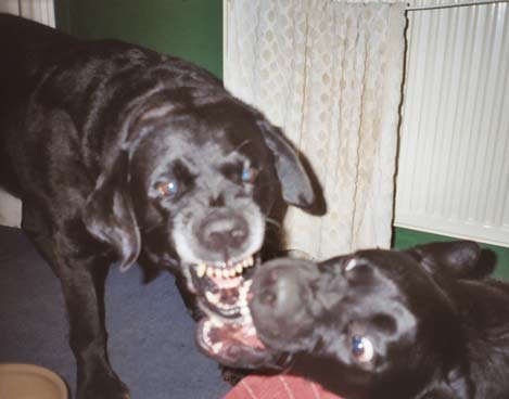 Sam and Jake