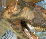 Eustreptospondylus
