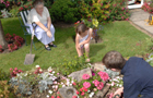 Image: Bolney Court community garden in Crawley