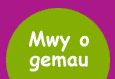Mwy o gemau