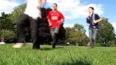 Chase Chase
