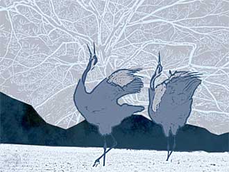 Mark Lawless
