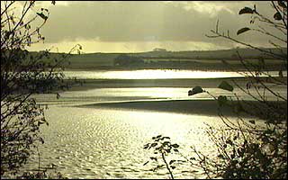 Braunton Burrows, North Devon