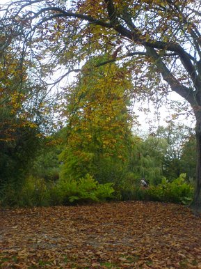 Autumn in Richmond