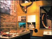 Forest exhibition