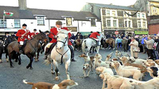 Helfa Banwen 2008 (llun: Mike Davies) Helfa Banwen 2008 (llun: Mike Davies)