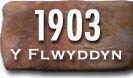 Blwyddyn