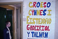 Poster croeso