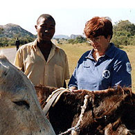 Meryl Harrison